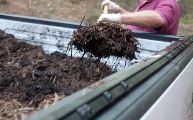 Does Mulch Attract Mosquitoes?